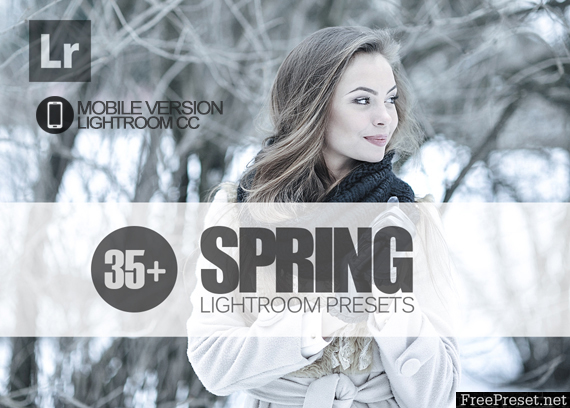 35+ Spring Lightroom Mobile bundle