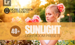 40+ Sunlight Lightroom Mobile bundle