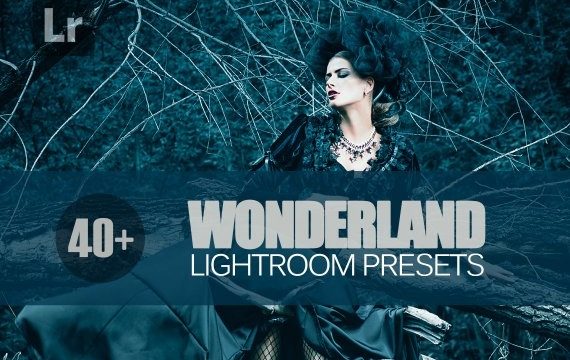 40+ Wonderland Lightroom Mobile bundle