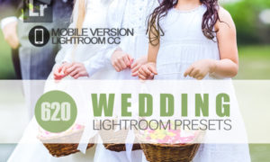 620+ Wedding Lightroom Mobile bundle