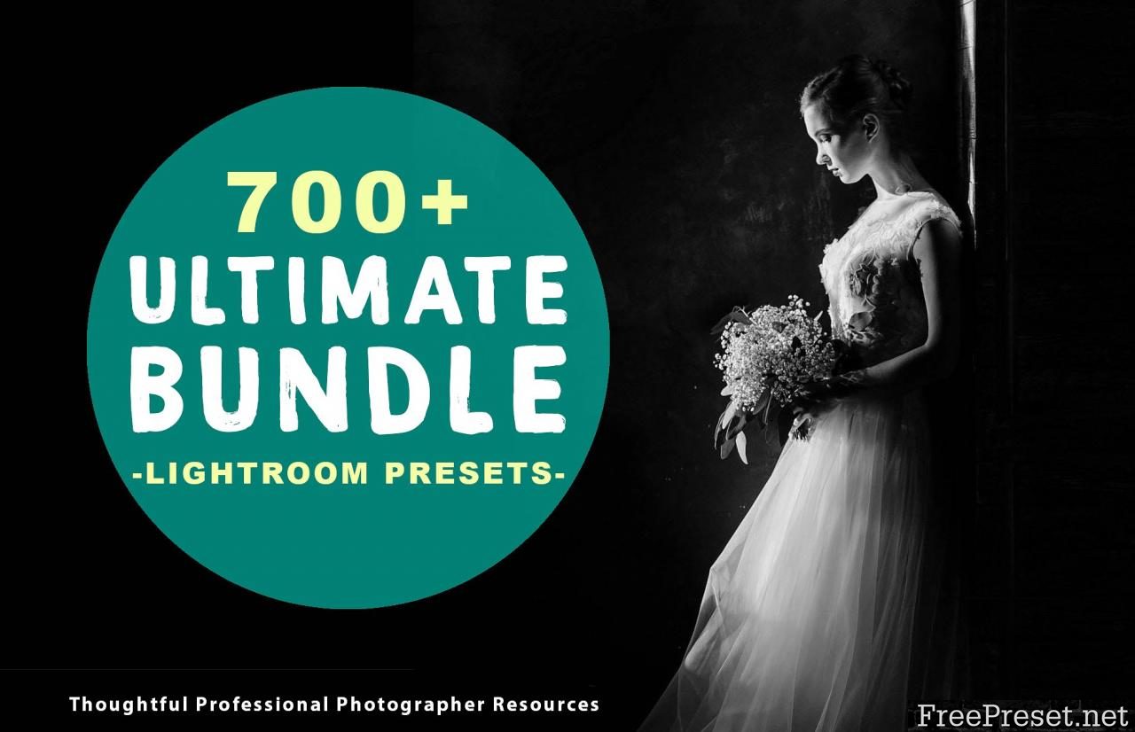 700+ Pro Lightroom Presets Bundle