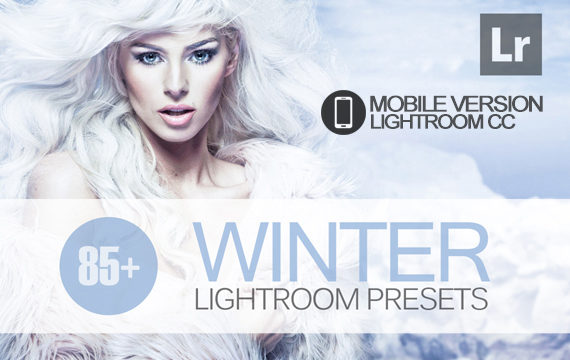 85+ Winter Lightroom Mobile bundle
