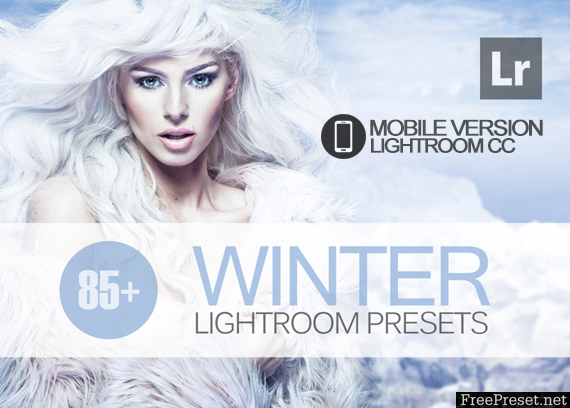 85+ Winter Lightroom Mobile bundle