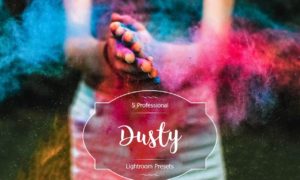 Dusty Lr Presets
