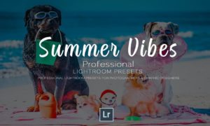 Summer Vibes Pro Lightroom Template