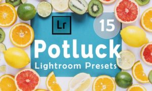 15 Potluck Lightroom Presets
