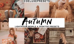 Autumn Lightroom Mobile Desk Preset 2965961