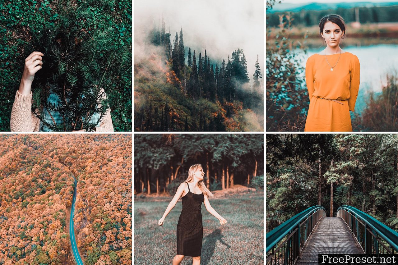 Fall Presets 2018 – Lightroom Preset 2994739