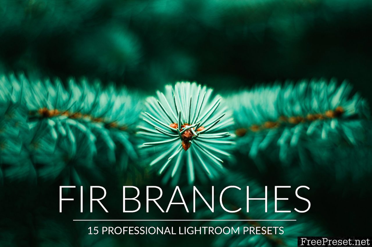 Fir Branches Lr Presets 3140261