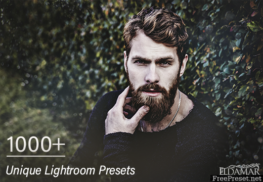 Inkydeals 1000+ Unique Lightroom Presets Bundle