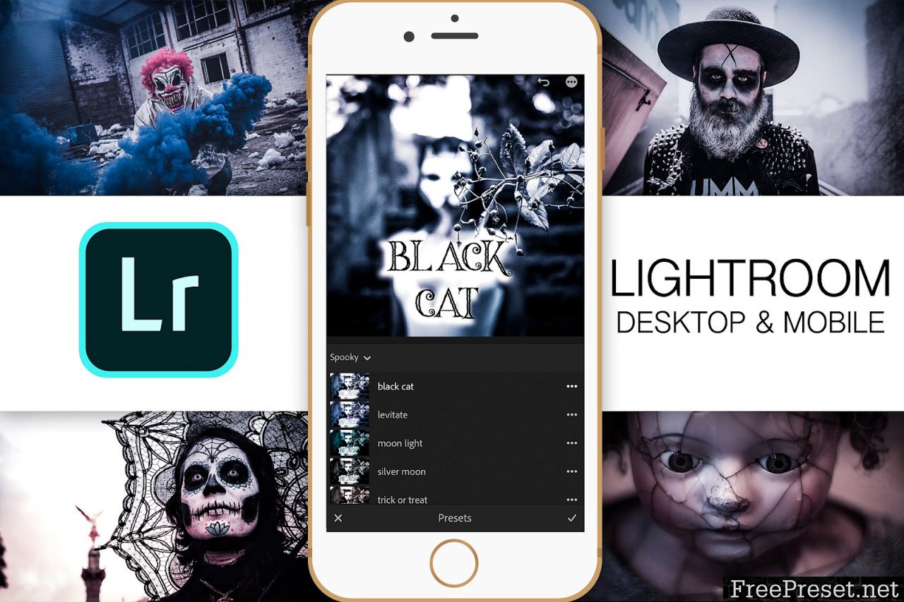 Lightroom Mobile – Black Cat 2939808