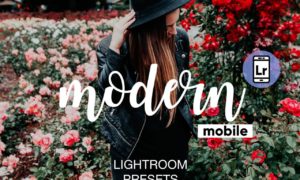 Modern Lightroom CC Mobile Presets 2870884