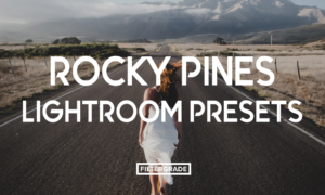 Rocky Pines lightroom Presets