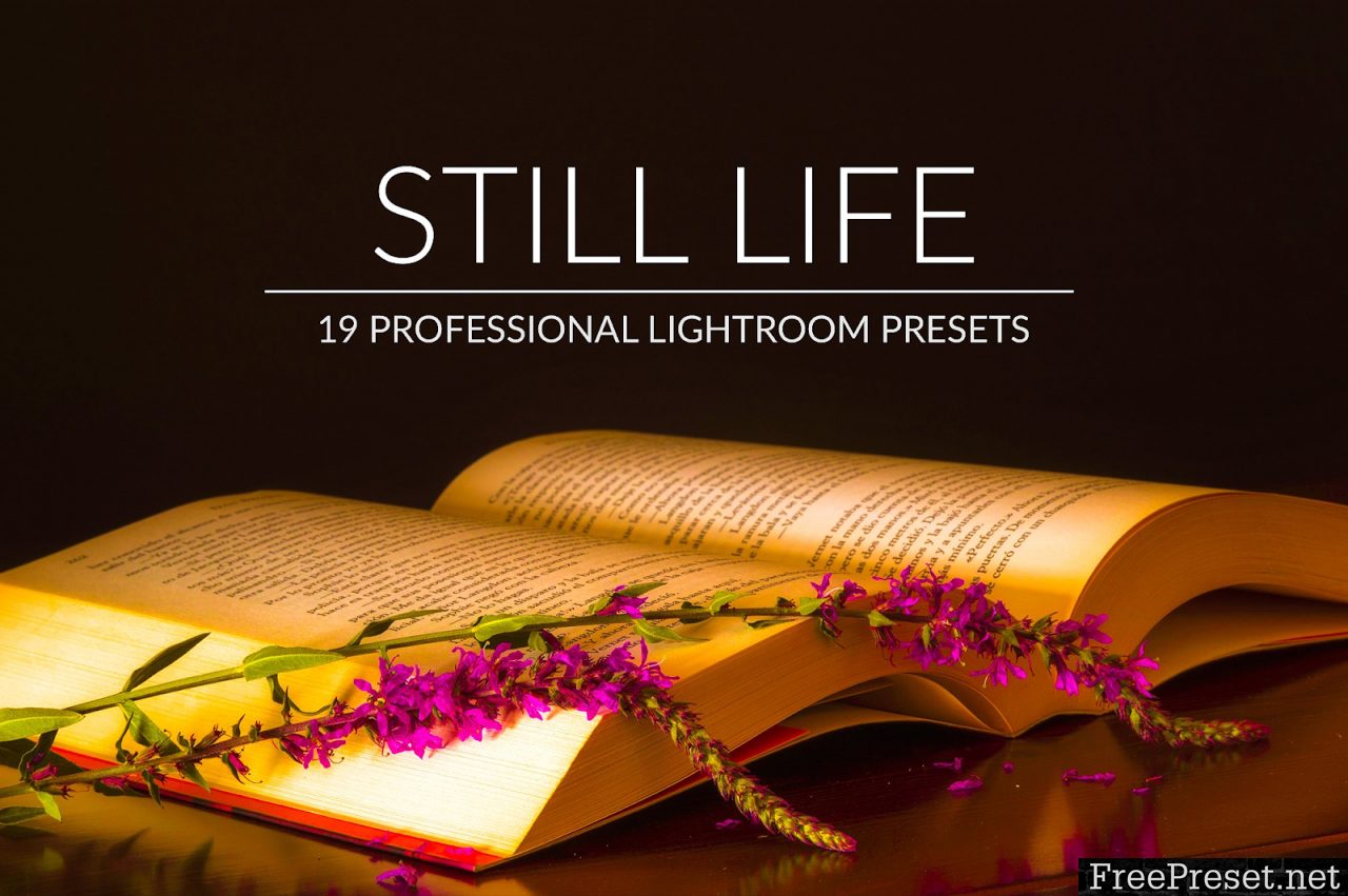 Still Life Lr Presets 3140199