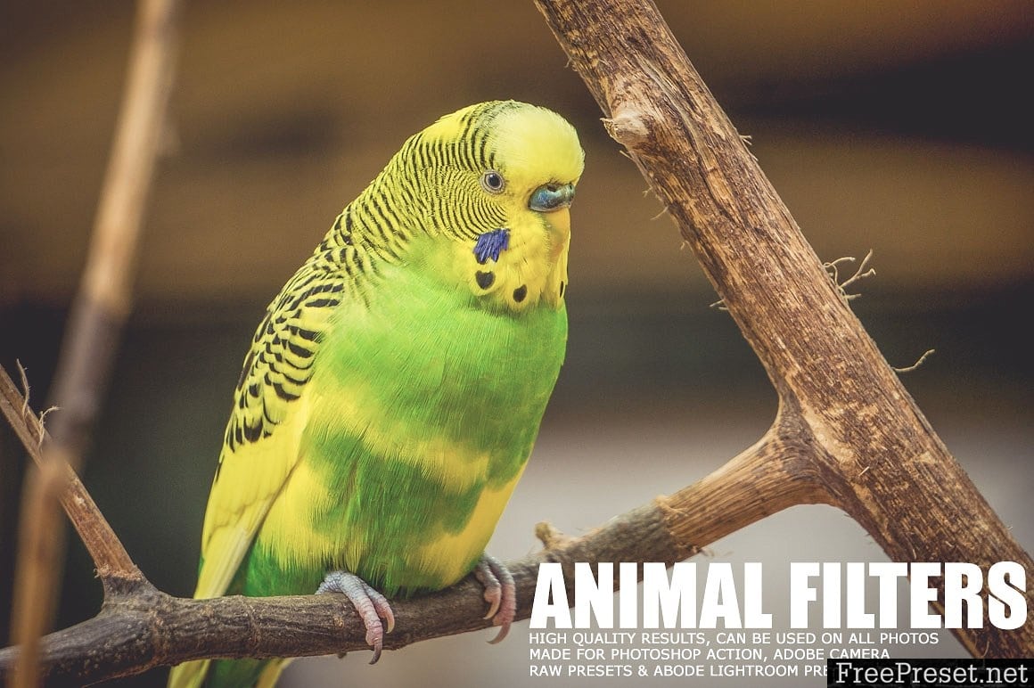 17 Animal Lightroom Presets 1167174