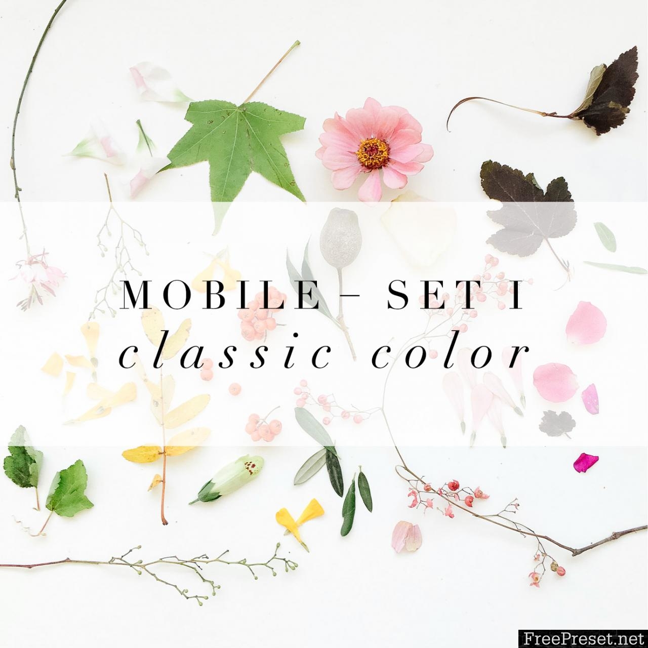 Jessica Kettle - Set I + Set II Desktop & Mobile Presets