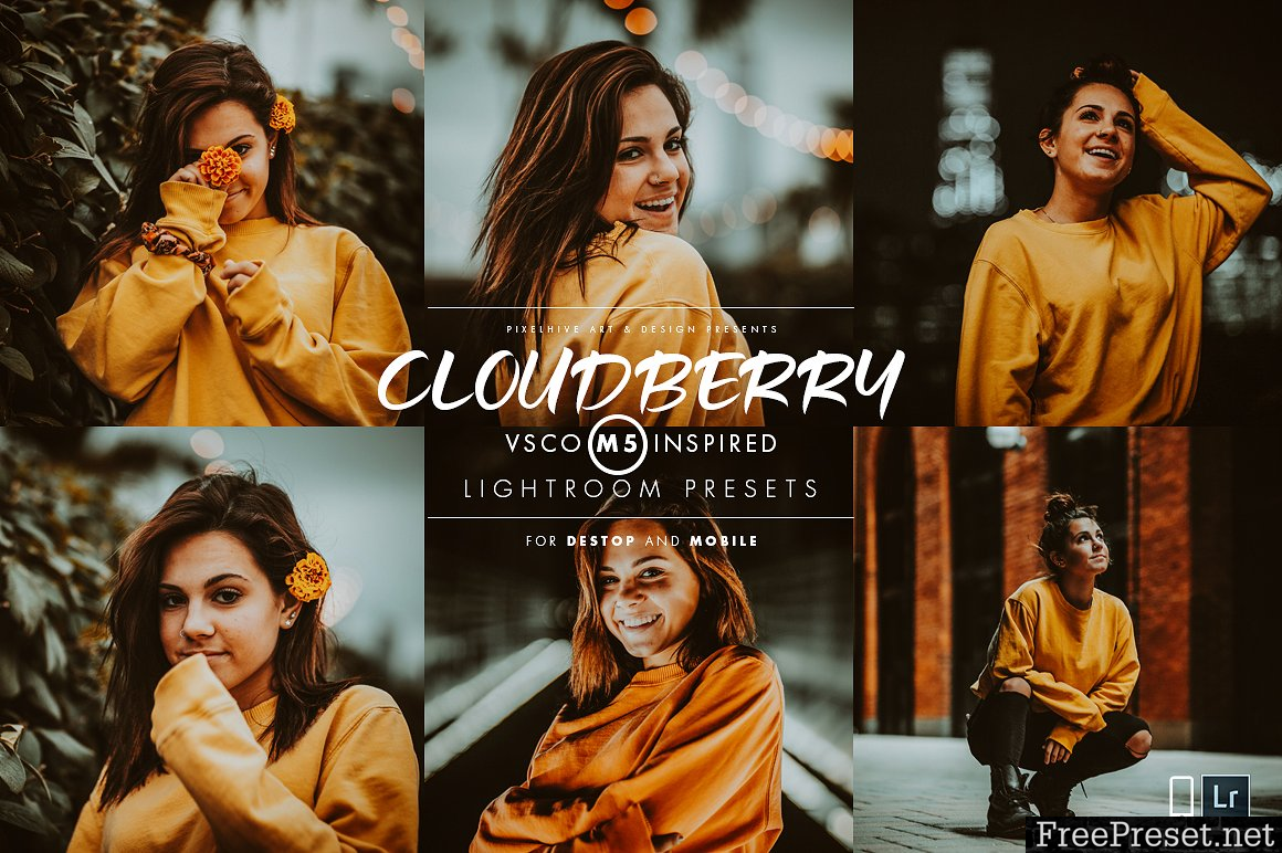 Cloudberry Lightroom Preset 3415912