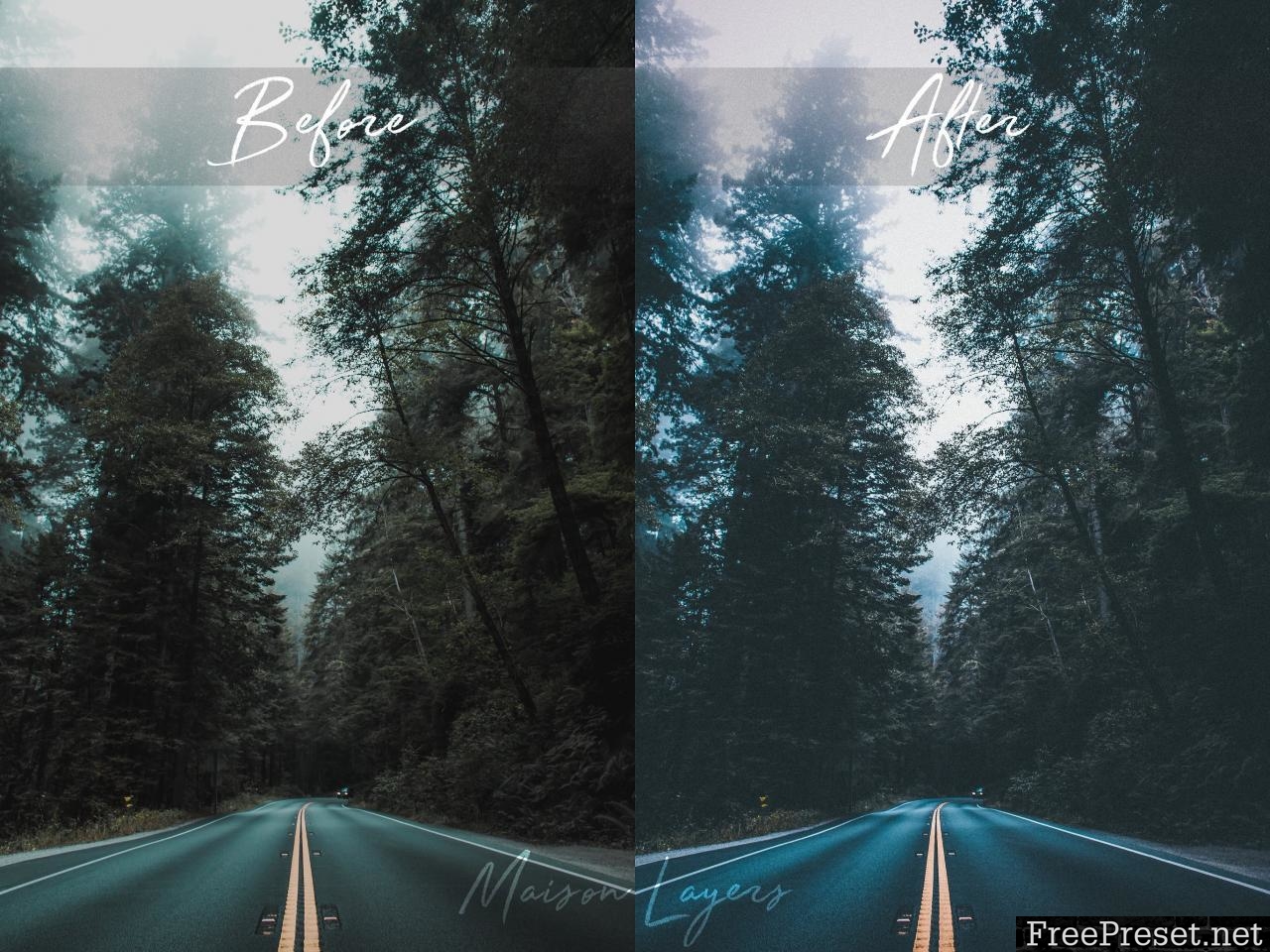 Lightroom Presets Moody Forest 3336411