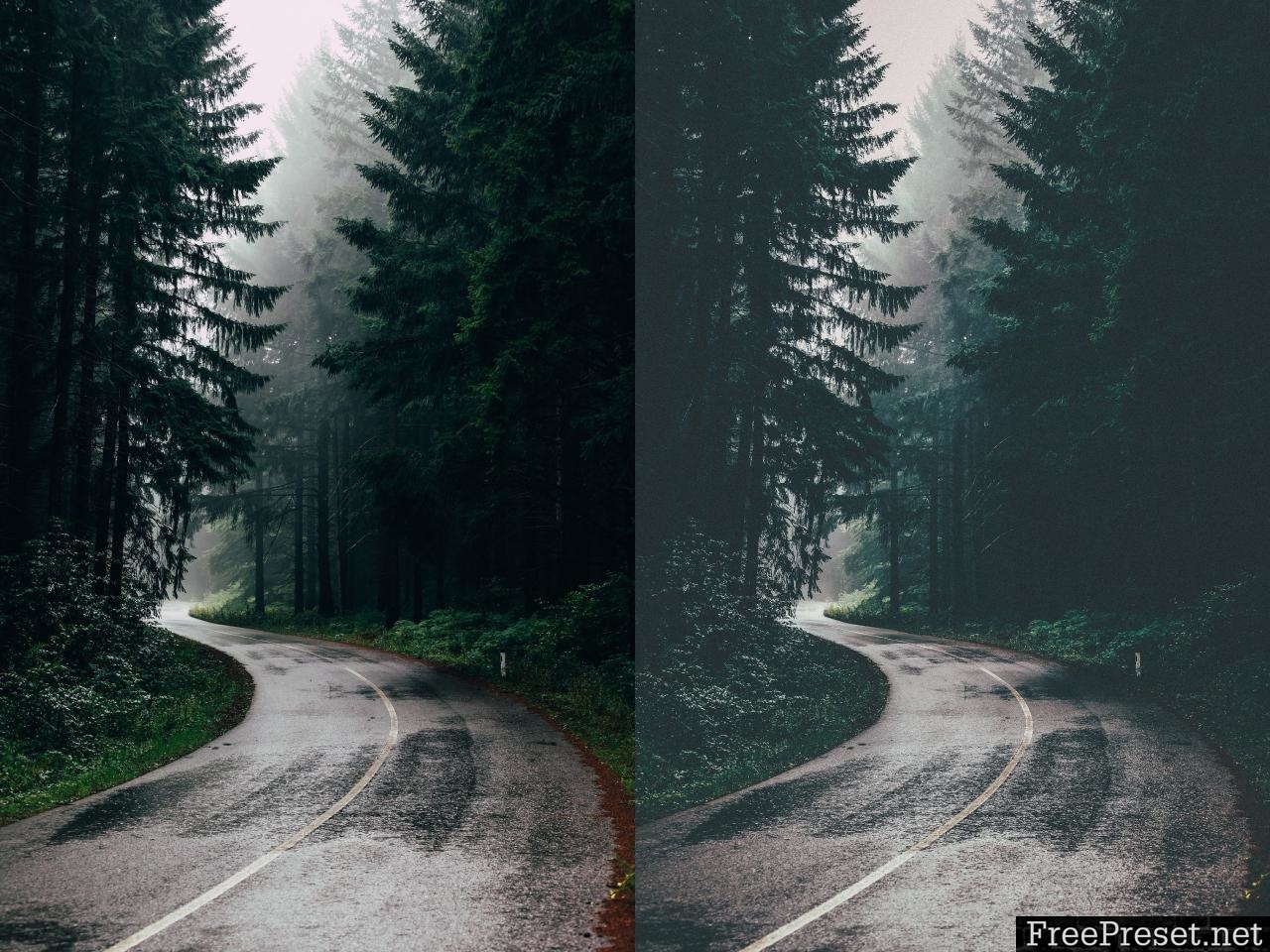 Lightroom Presets Moody Forest 3336411