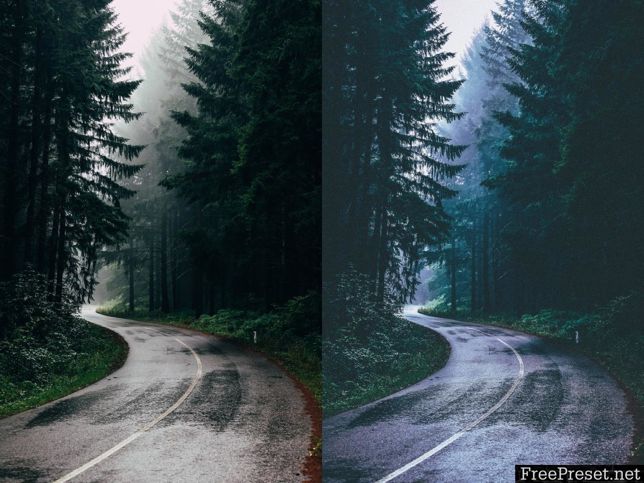 Lightroom Presets Moody Forest 3336411