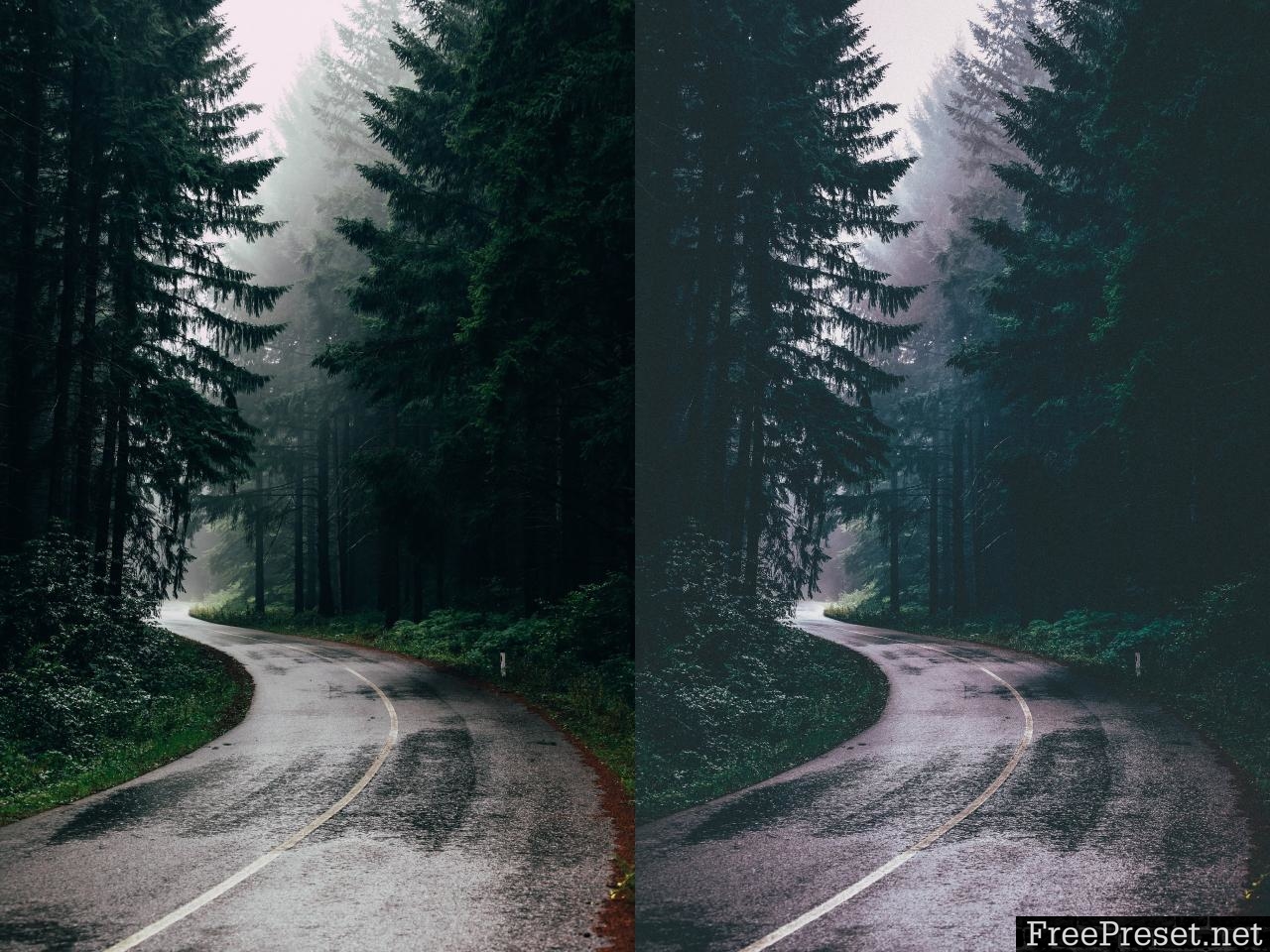 Lightroom Presets Moody Forest 3336411