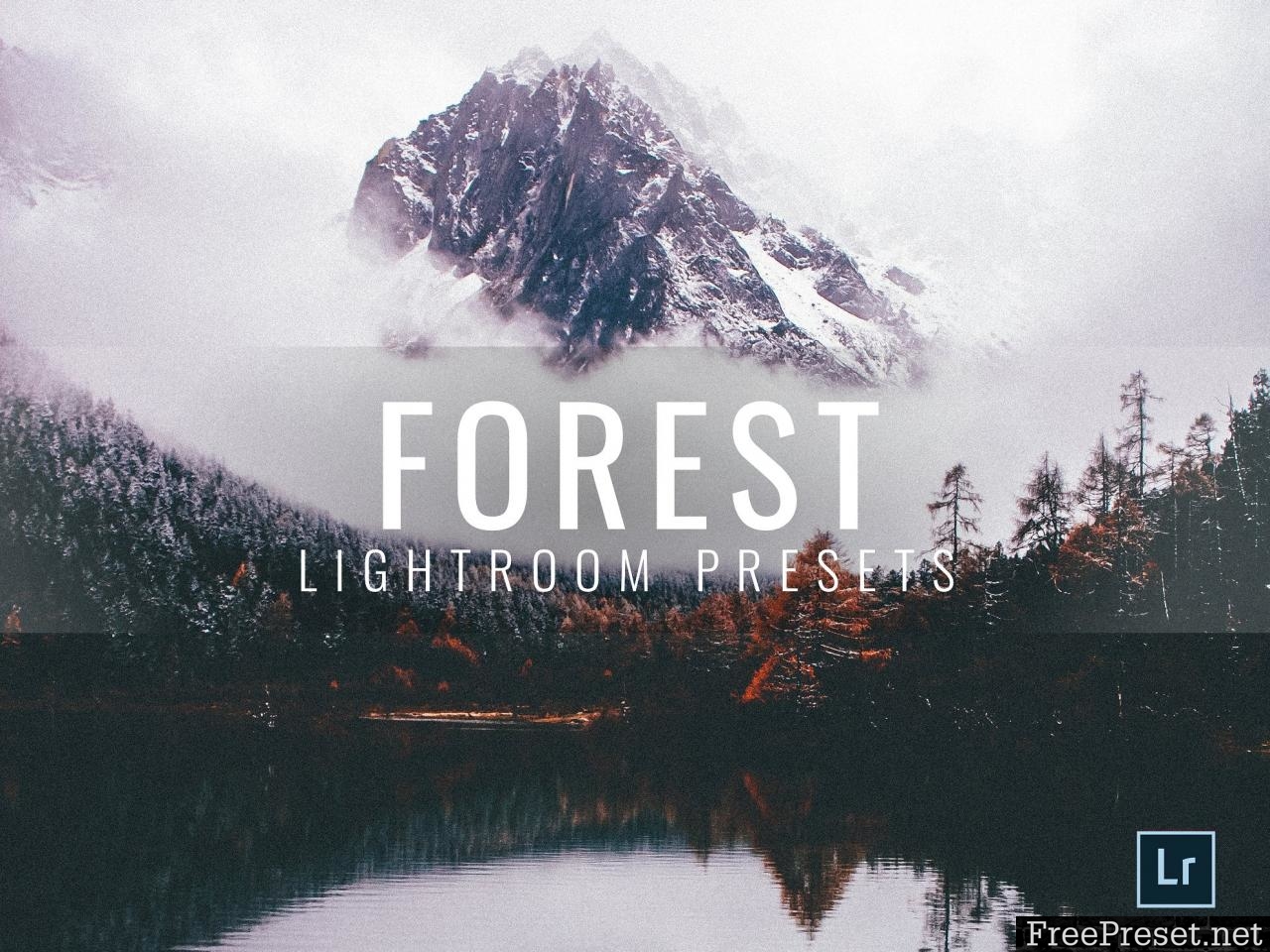 Lightroom Presets Moody Forest 3336411