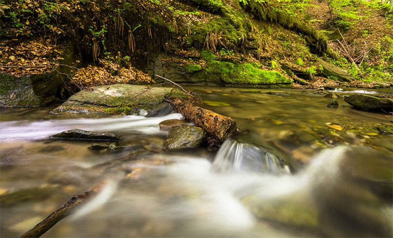 Photo by Anton Atanasov / Pexels license