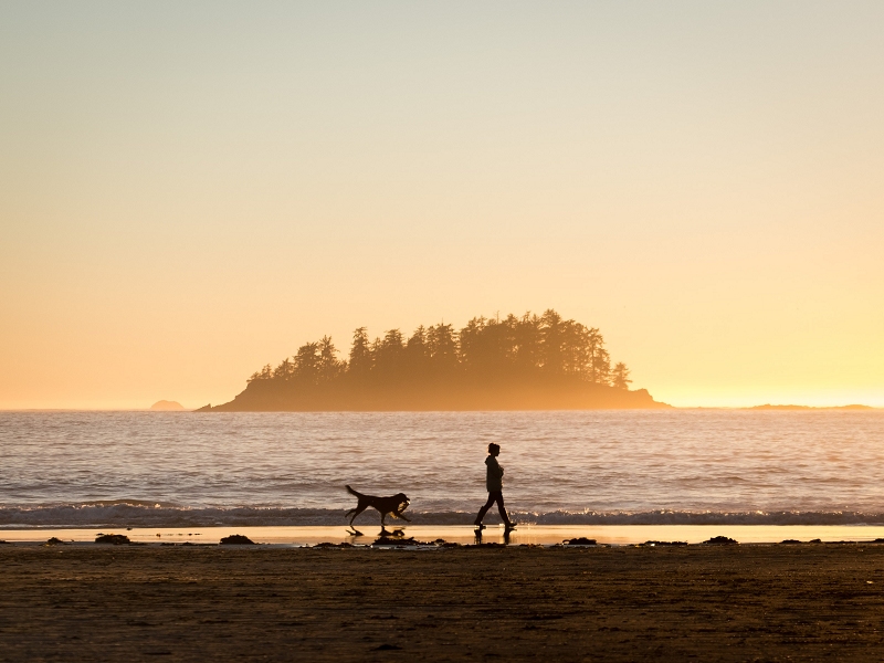 Capturing Beautiful Golden Hour Photos