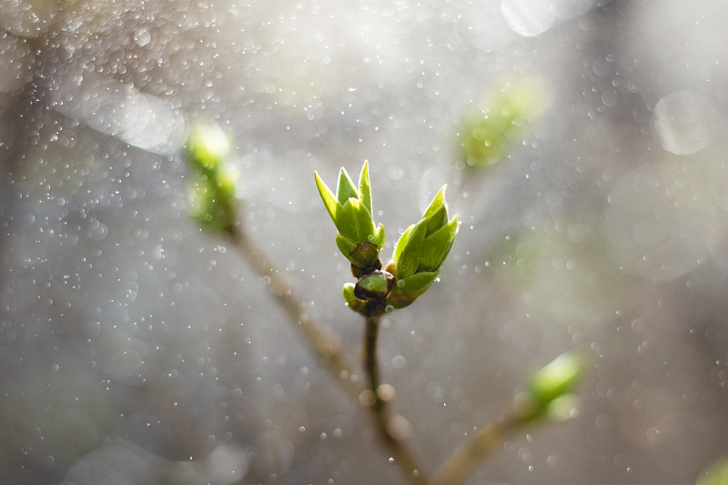 Tips for Using Polarizers Effectively