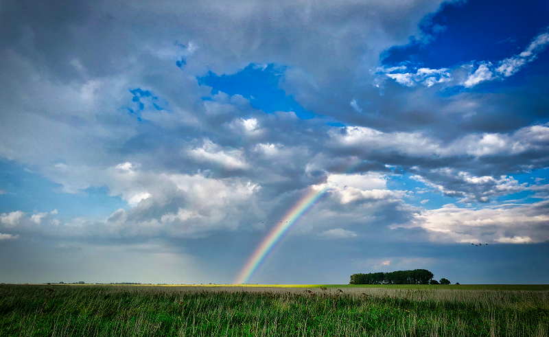 Tips for Using Polarizers Effectively