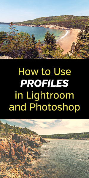 How to Use Profiles in Lightroom and Photoshop