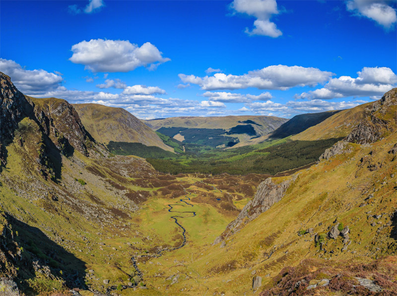 Corrie Fee