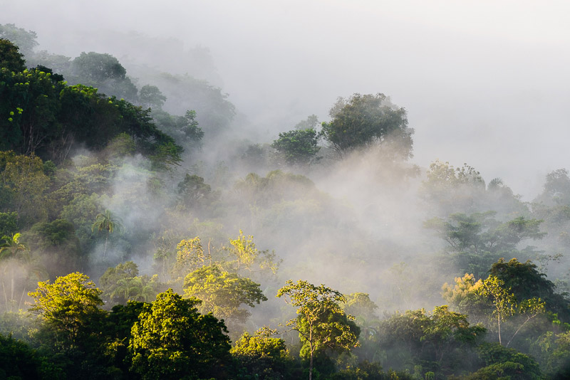 Sunrise over misty mountain rainforests view from Casa Mariposa; Santa Fe, Panama