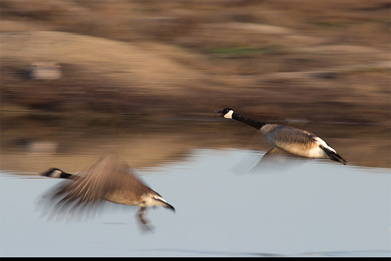 How To Use Shutter Speed Creatively