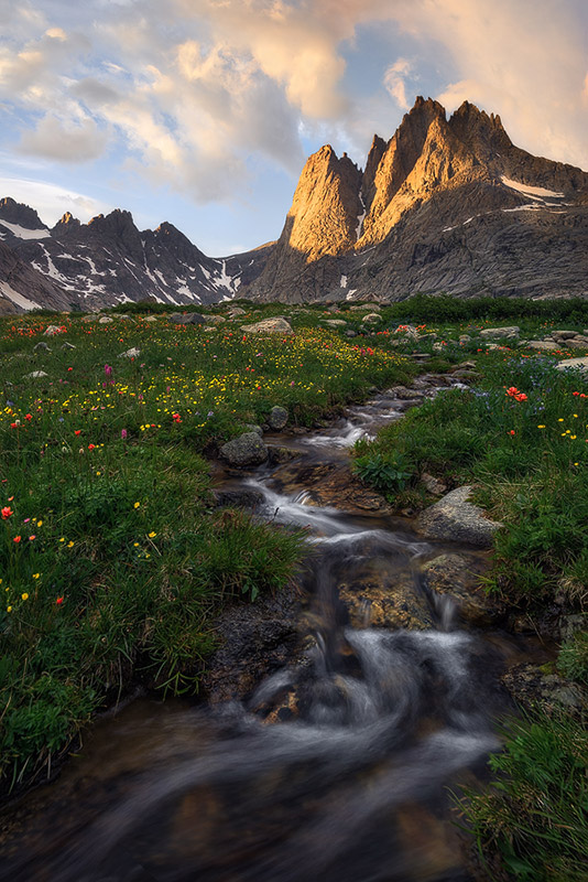 Titcomb Flower Stream