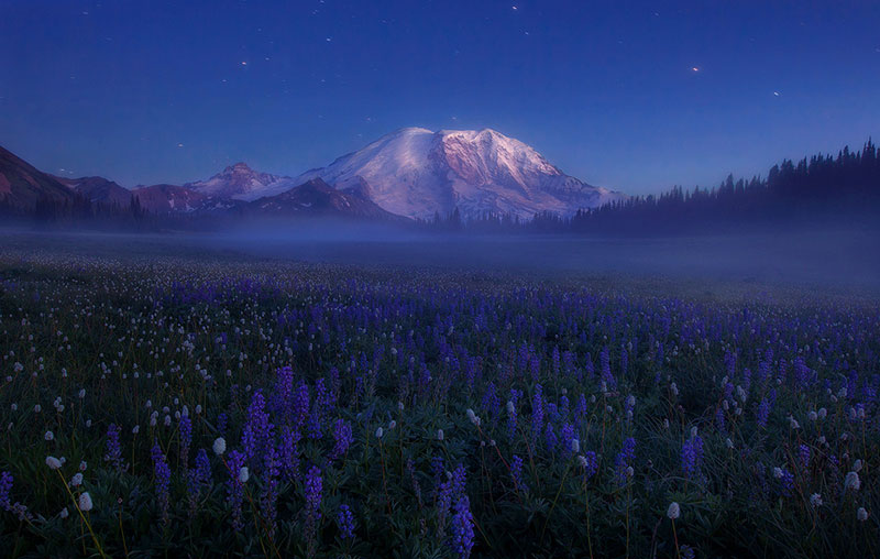 Interview with Landscape Photographer Trevor Anderson