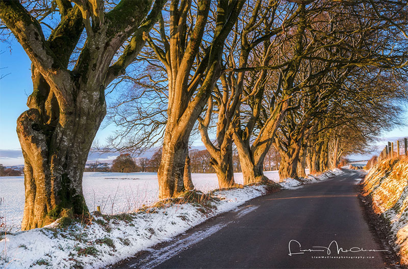 Interview with Landscape Photographer Liam McClean