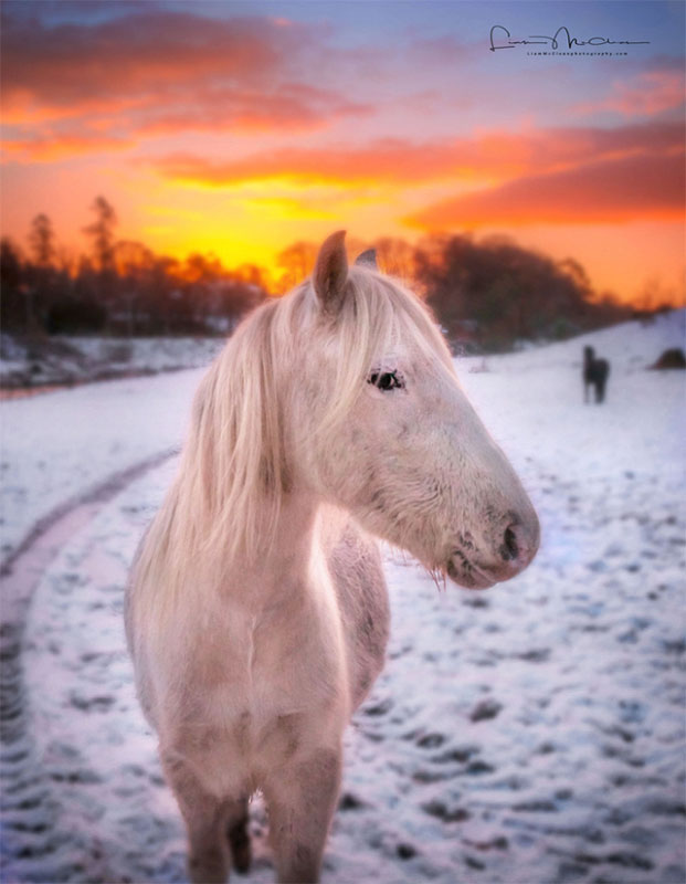 Interview with Landscape Photographer Liam McClean