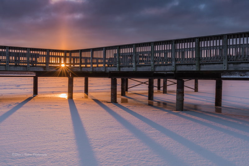 Winter Photography with a Chill