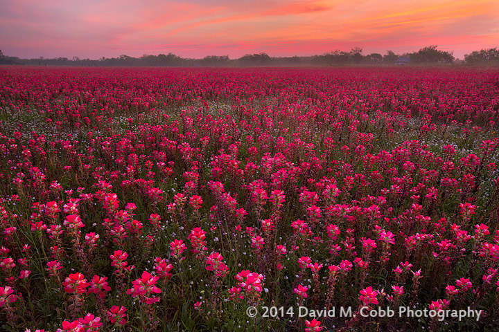 Interview with Landscape Photography David M. Cobb