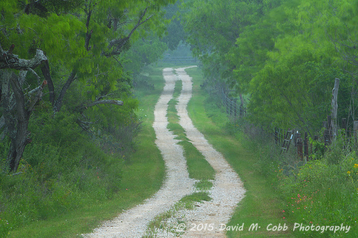 Interview with Landscape Photography David M. Cobb