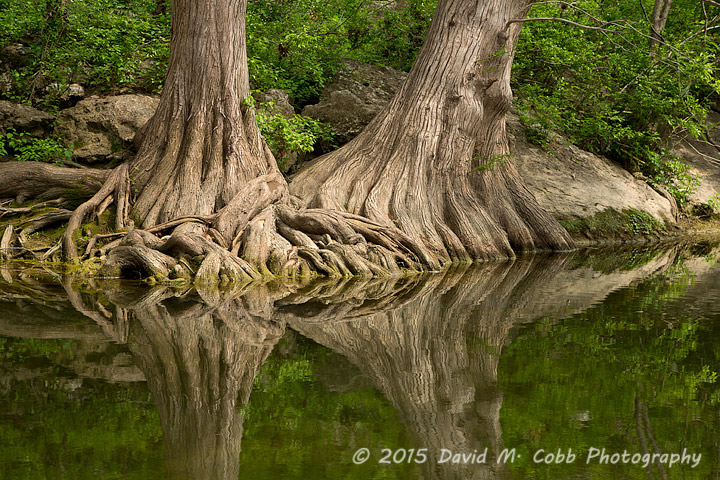 Interview with Landscape Photography David M. Cobb