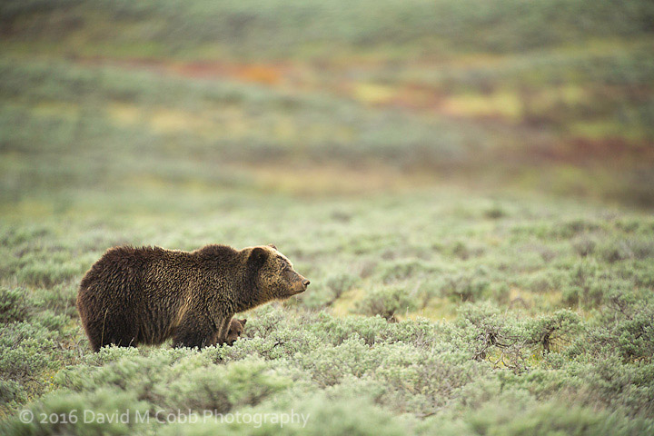 Interview with Landscape Photography David M. Cobb