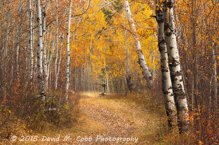 Interview with Landscape Photography David M. Cobb