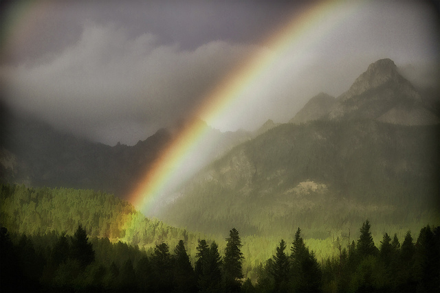 Tips for Photographing Rainbows