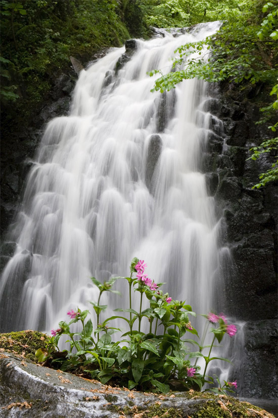 The Best Places to Photograph in Northern Ireland