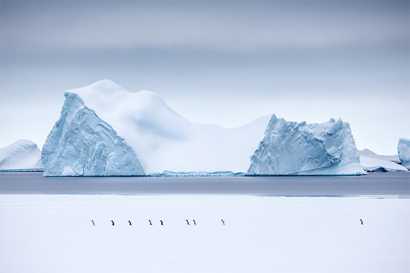 Interview with Polar Photographer Joshua Holko