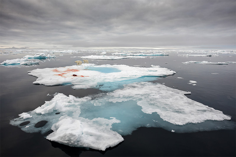 Interview with Polar Photographer Joshua Holko