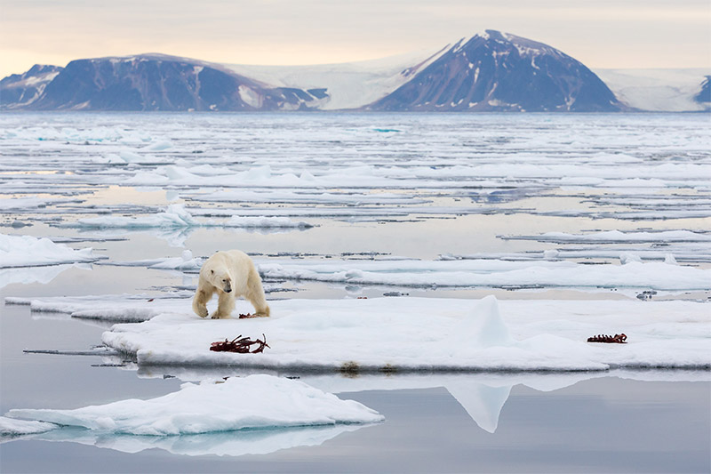 Interview with Polar Photographer Joshua Holko