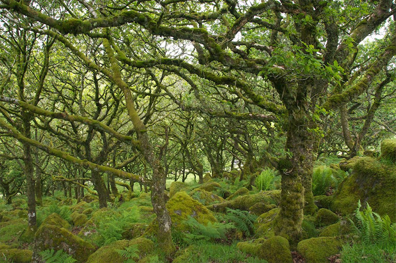 The Best Places to Photograph in England